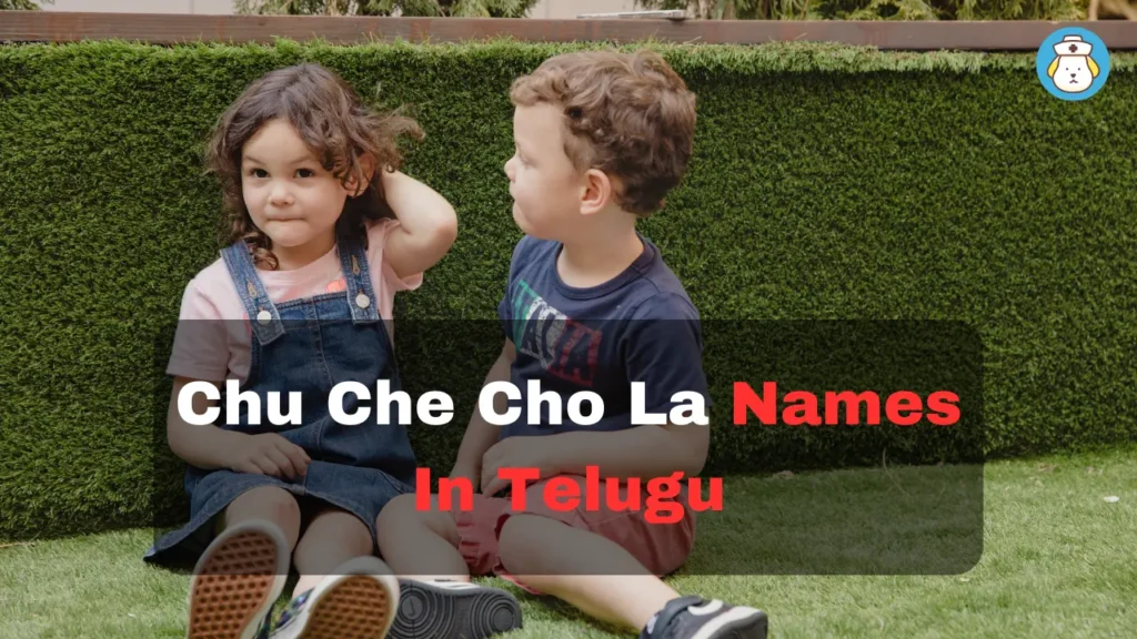 chu, che, cho, la in telugu